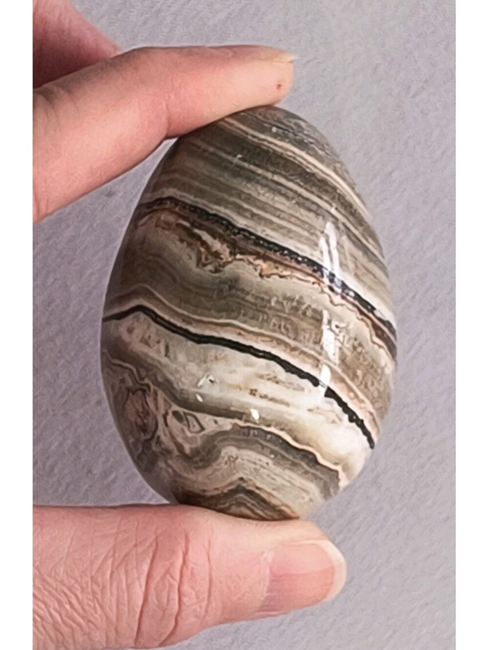 Natural Stone Banded Zebra Calcite Polished Carved Egg